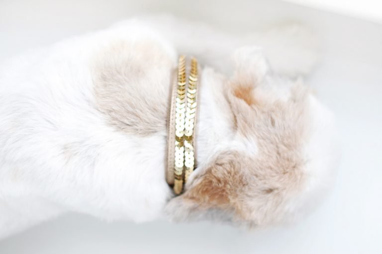 DIY No Sew Dog Collar Sleeves DIY Dog Projects Pretty Fluffy