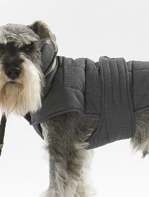 Top 6 Winter Coats for Dogs | Pretty Fluffy