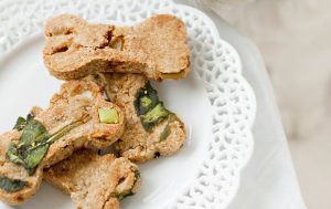 Healthy Dog Treat Alternatives - Healthy and Fresh alternatives to processed dog treats | Pretty Fluffy