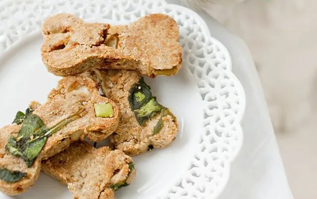 Healthy Dog Treat Alternatives - Healthy and Fresh alternatives to processed dog treats | Pretty Fluffy