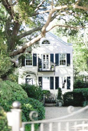 Tips for moving with dogs