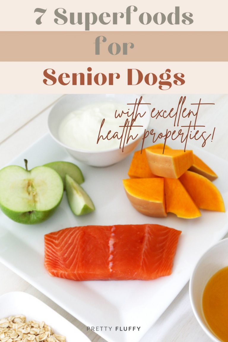 7 Superfoods for Senior Dogs Pretty Fluffy