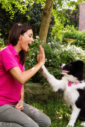 Dr Katrina's Top 3 Dog Training Tips