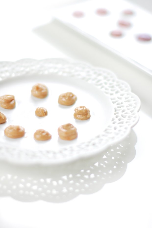 No Bake Peanut Butter and Carob Treats for Dogs