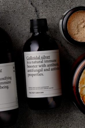 Senior Dogs: Holistic Hot Spot Remedies