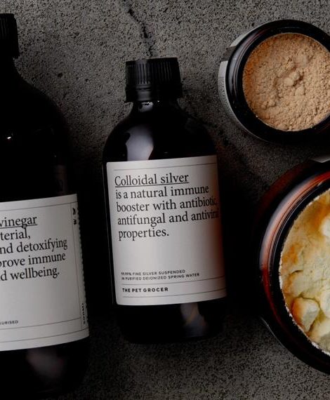 Senior Dogs: Holistic Hot Spot Remedies