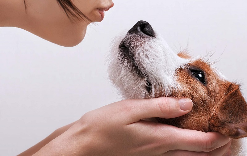 Arm & Hammer Dog Dental Care Kit