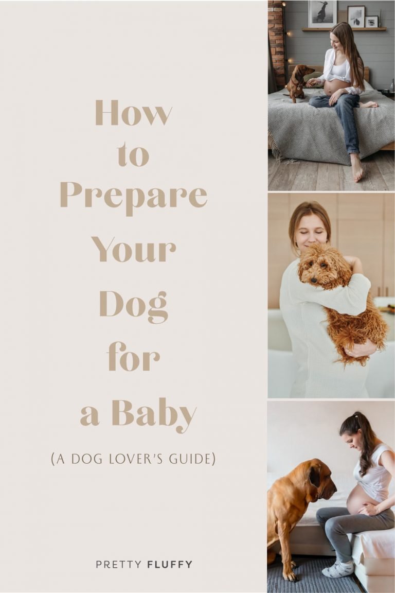 How to Prepare Your Dog for a Baby (a Dog Lover's Guide) Pretty Fluffy