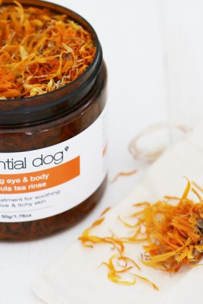 Essential Dog Grooming Skin Remedies // A complete and natural range of grooming remedies for dogs with allergies and sensitive skin // www.prettyfluffy.com