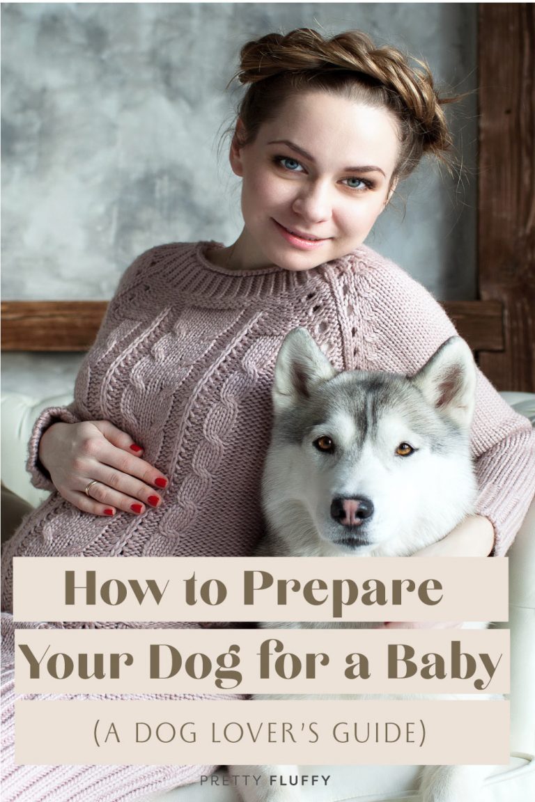 How to Prepare Your Dog for a Baby (a Dog Lover's Guide) Pretty Fluffy