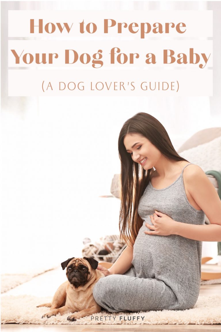 How to Prepare Your Dog for a Baby (a Dog Lover's Guide) Pretty Fluffy
