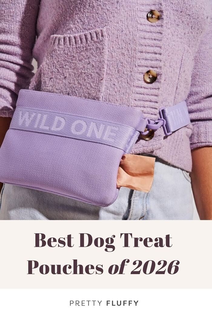 pinterest - best dog treat pouches