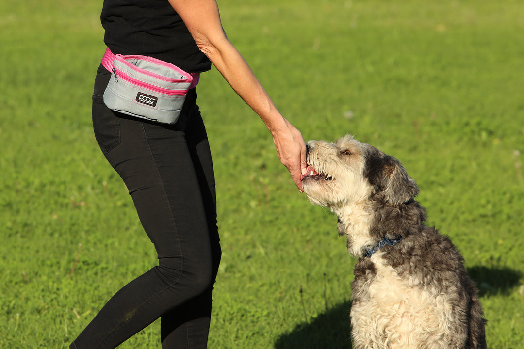 DOOG Treat & Training Dog Pouch