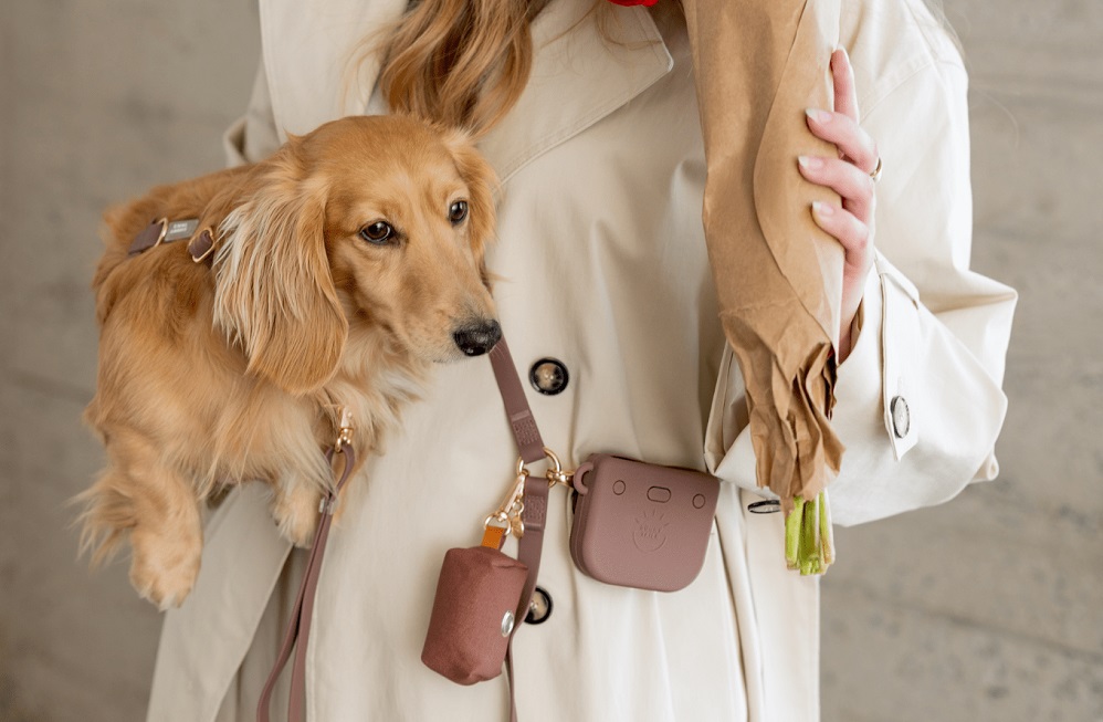 Sunny Tails Snap Dog Treat Pouch