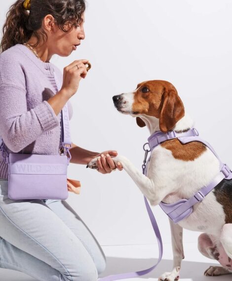 wild one - best dog pouch