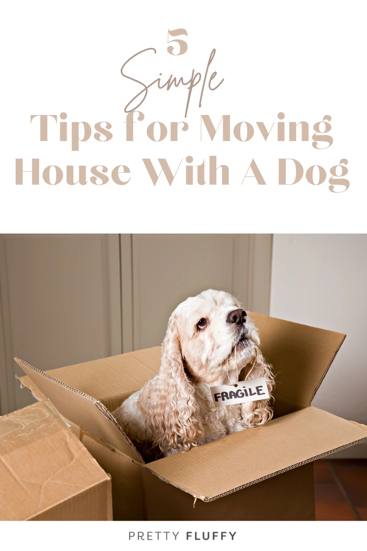 Tips for moving with dogs | Pretty Fluffy