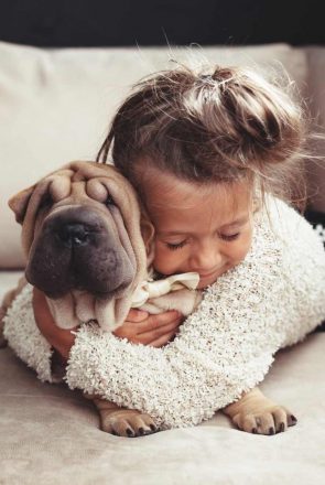 3 Handy Hints For Living with a Dog and a Baby