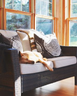 5 Life Lessons to Learn From Your Dog | www.prettyfluffy.com