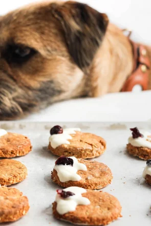 Christmas pudding homemade dog cookies