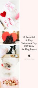 15 Beautiful & Easy Valentine's Day DIY Gifts for Dog Lovers | Pretty ...
