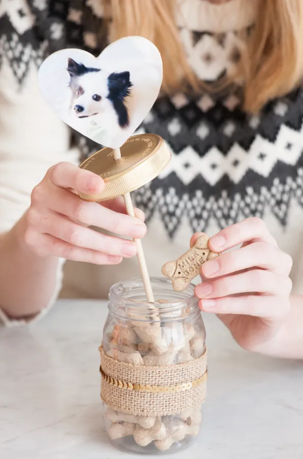 DIY Valentines Dog Treat Jar