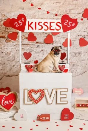 Dog DIY Valentines Day Kissing Booth
