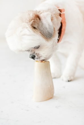 peanut butter bone filling for indoor dog enrichment