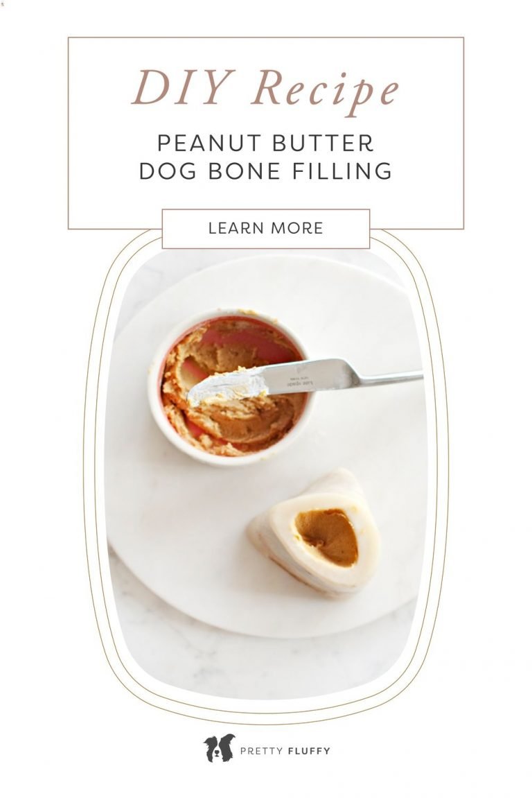 DIY Recipe Peanut Butter Dog Bone Filling DIY Dog Treat Recipes