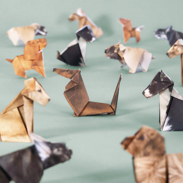 Pikkii Paper Pups