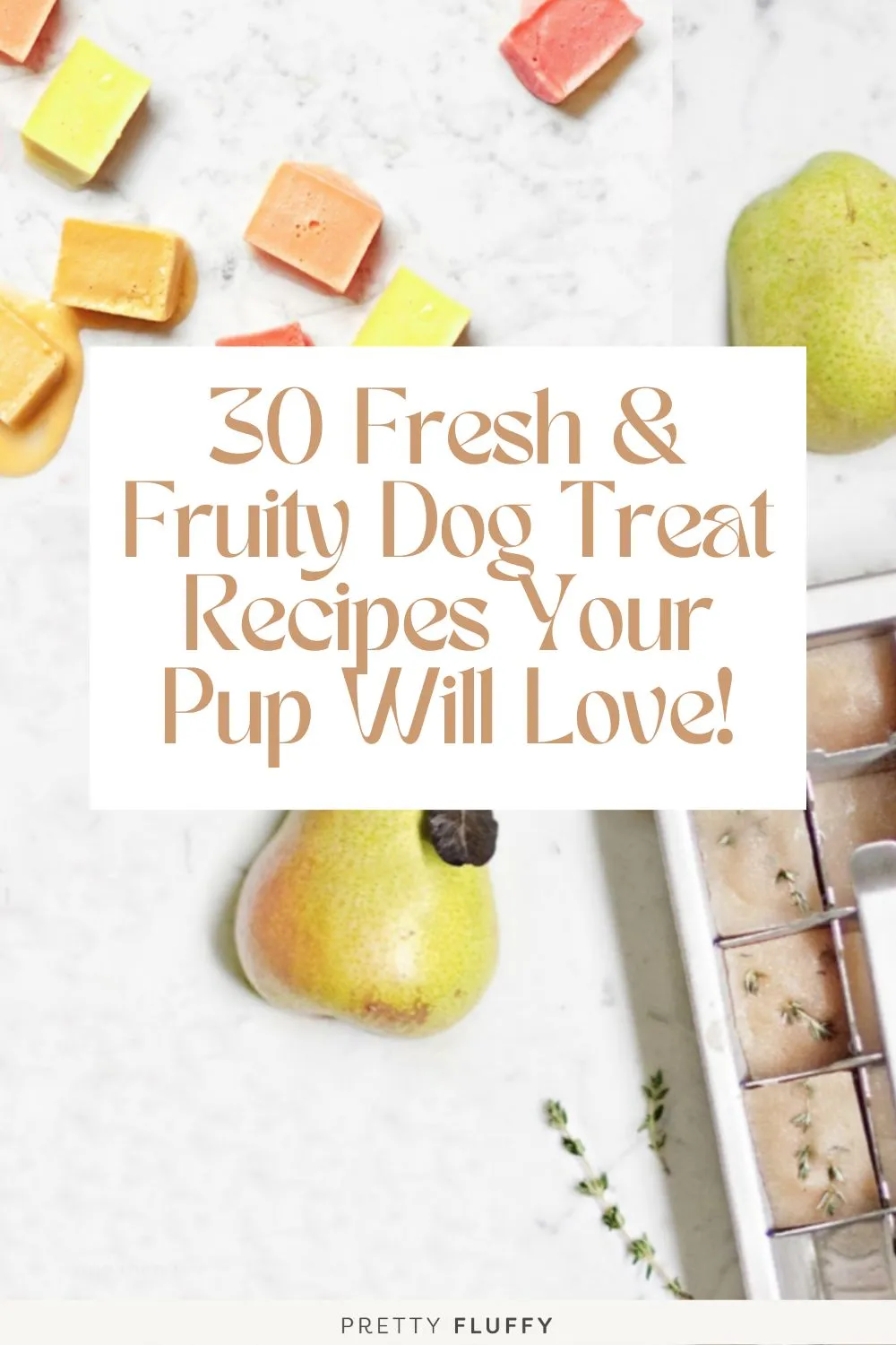 30 Fresh & Fruity Dog Treat Recipes Your Pup Will Love!