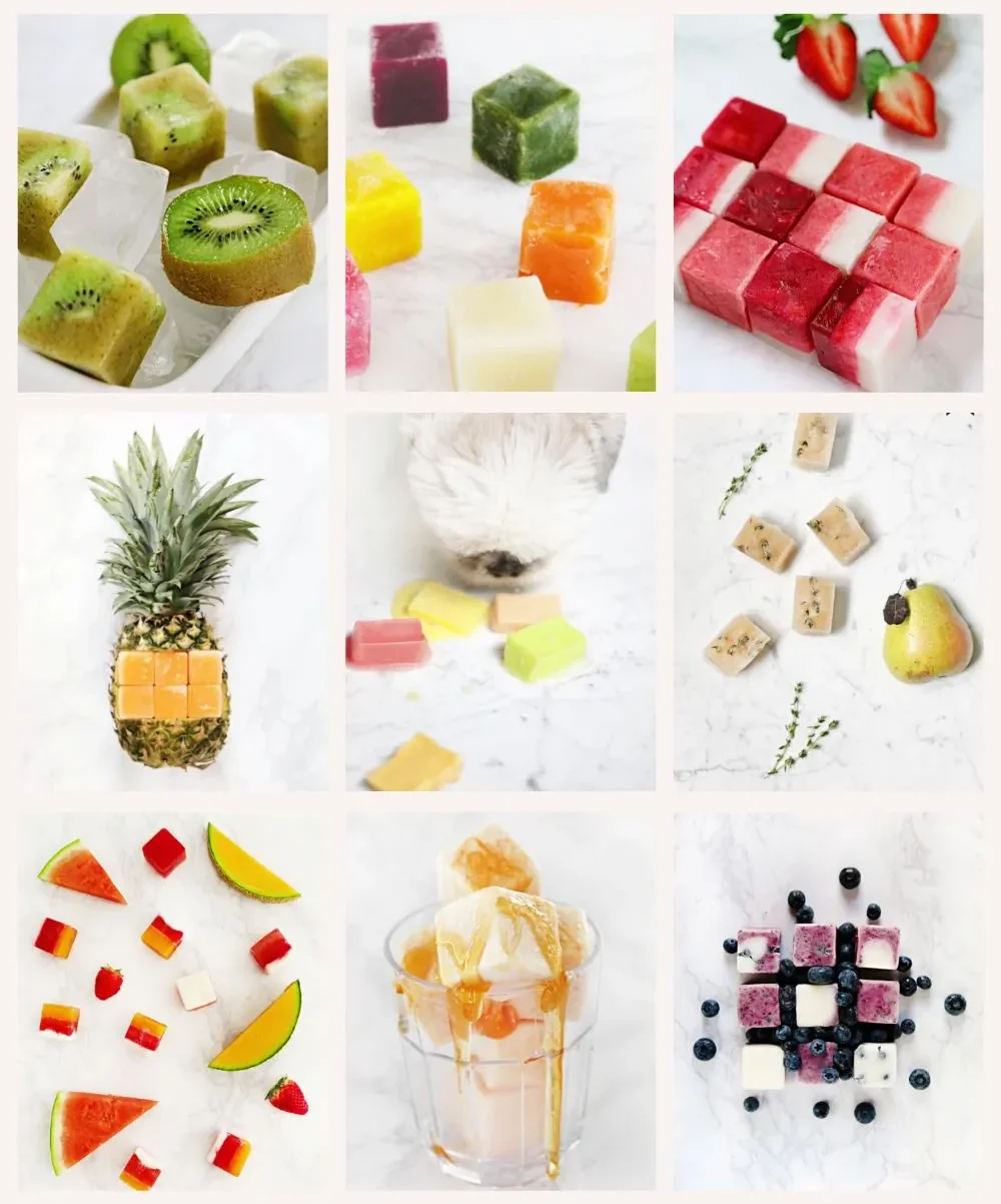 Frozen – 30 Fresh & Fruity Dog Treat Recipes Your Pup Will Love! (4)