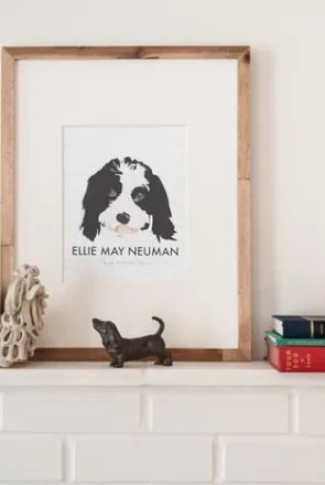 Custom Pet Portraits Illustrations by Noble Friends