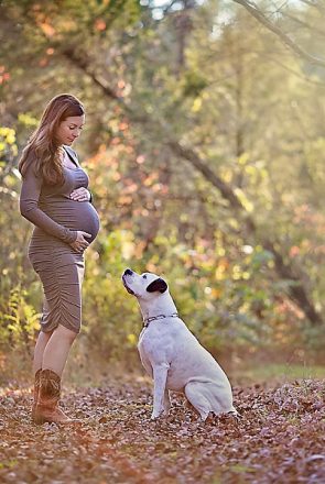 Dog Friendly Maternity Session by April Ziegler Photography