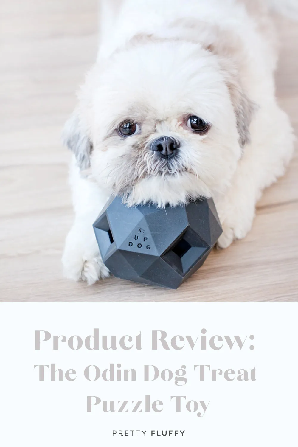 Product Review: The Odin Dog Treat Puzzle Toy