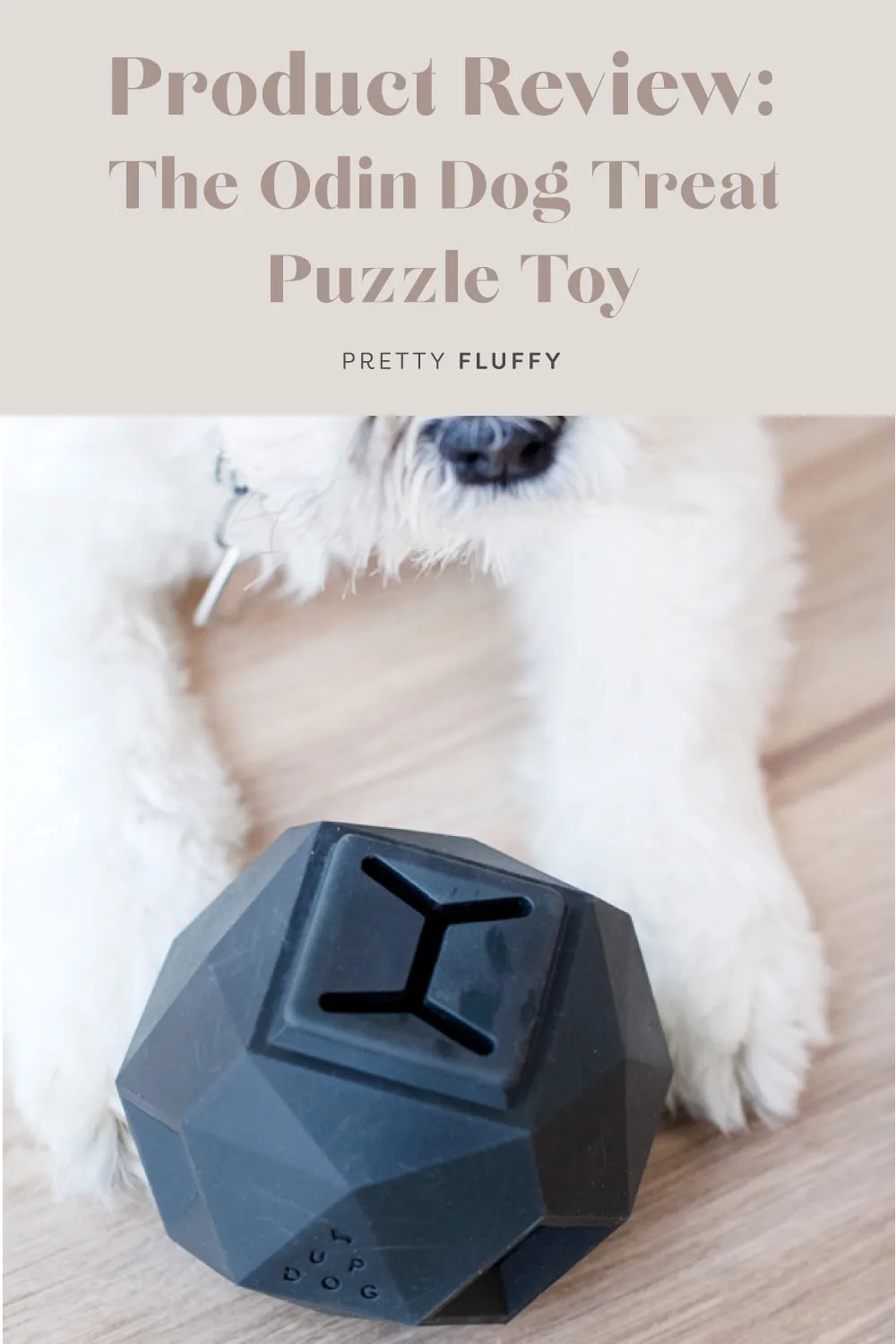 Product Review: The Odin Dog Treat Puzzle Toy