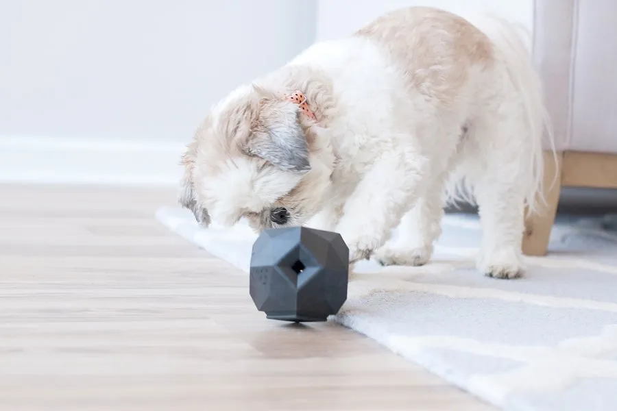 Product Review: The Odin Dog Treat Puzzle Toy