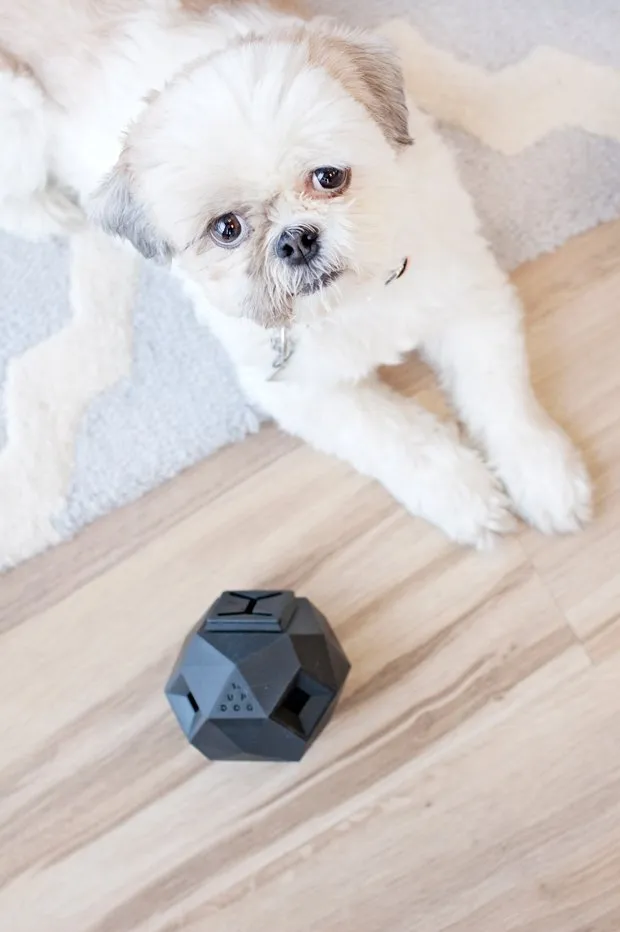 The Odin Dog Toy Product Review