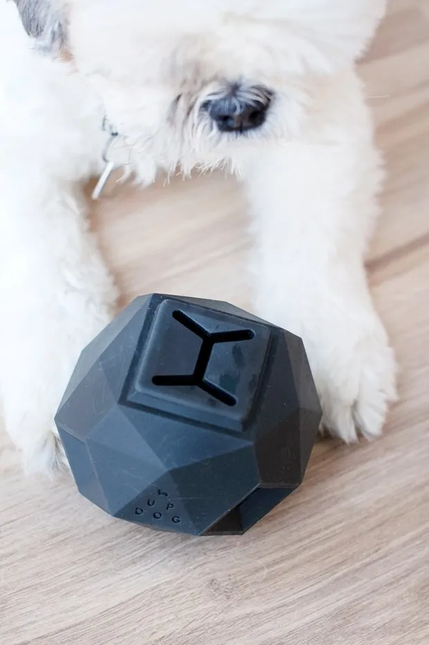 The Odin Dog Toy Product Review