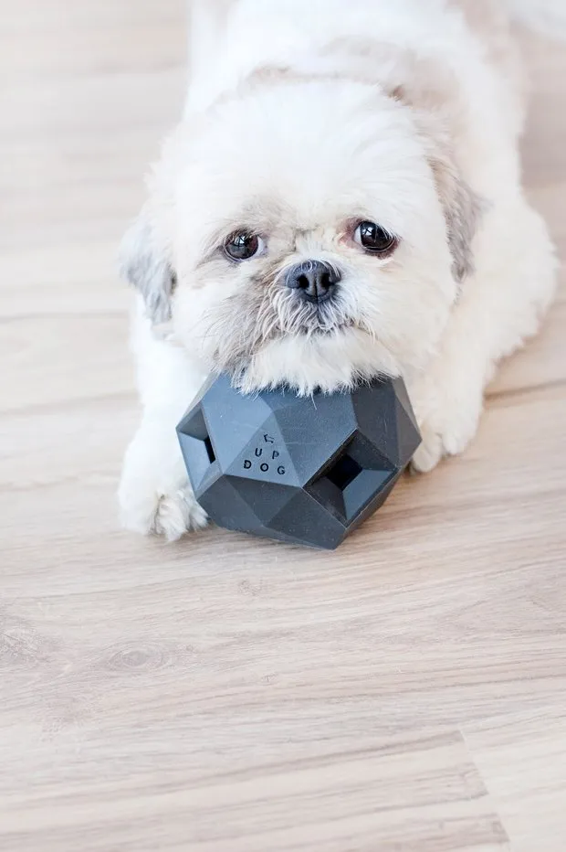 The Odin Dog Toy Product Review