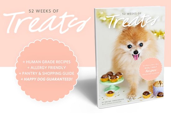 The Ultimate Dog Treat Recipe Book - 52 Weeks of Treats - Simple and Healthy Dog Treat Recipes for Every Season