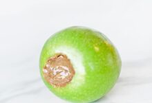 This DIY Kong dog toy is completely edible, delicious & healthy - your dog is going to love more than ever. Click through for the free edible apple Kong tutorial.