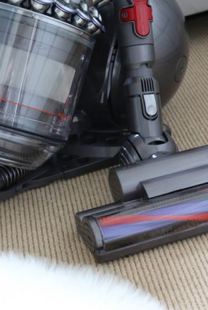 Review: Dyson Animal Pro Vacuum Cleaner