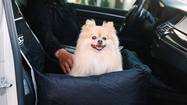 A look behind the scenes with lifestyle pet brand, DOOG and how they became one of the world’s leading brands for outdoor and active gear for dog owners.