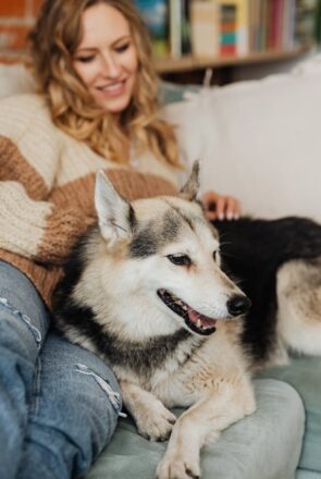 Tips for Finding the Perfect Pet Sitter