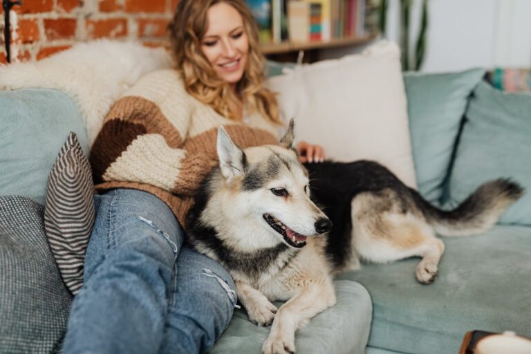 5 Tips for Finding the Perfect Pet Sitter