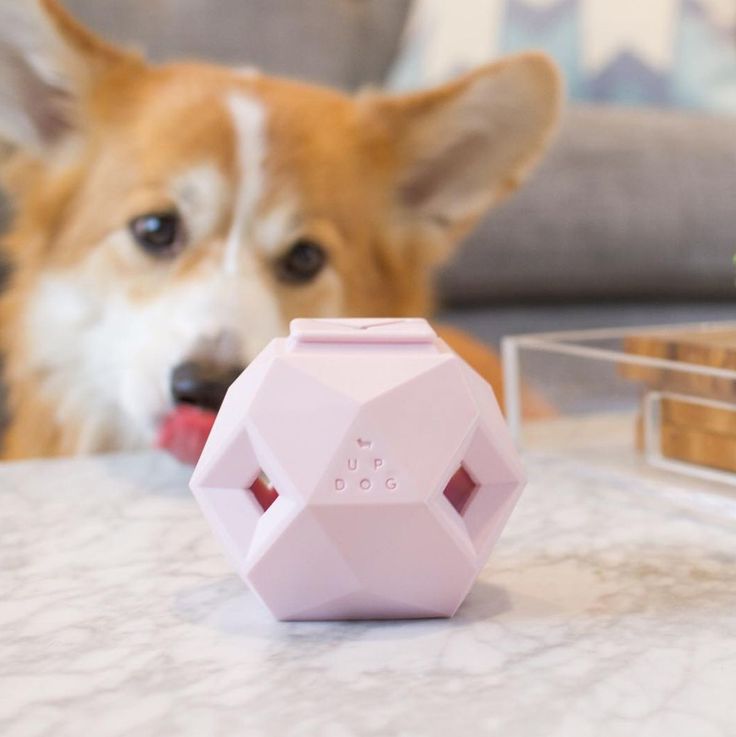 The Odin: Dog Treat Dispensing Toy - Now in PINK!