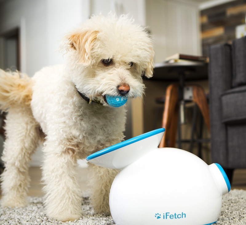 iFetch Original - Automatic Ball Launcher