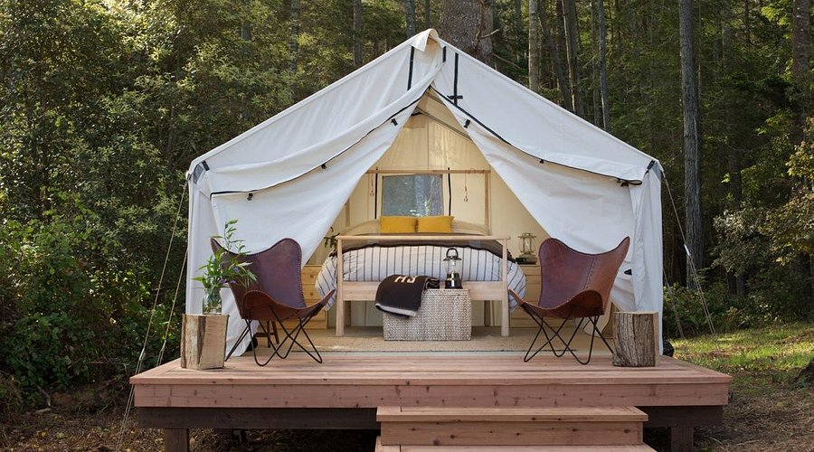 Pet-Friendly Safari Tents for Luxury Camping near San Francisco, California: