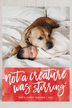 10 of the BEST Christmas Cards for Pet Lovers