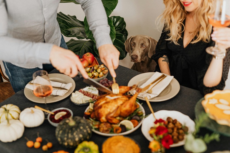 Give thanks to the furry friends in your life, with our top gift picks, tips and tricks for a happy and safe Thanksgiving for dogs.